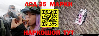 мет Можга