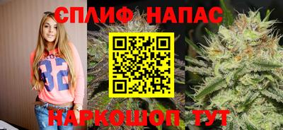 мет Можга
