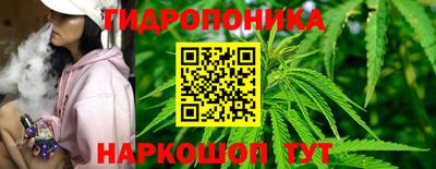 мет Можга