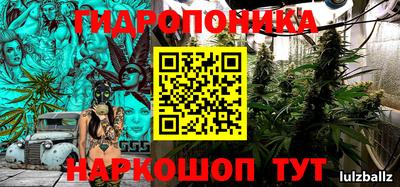 мет Можга