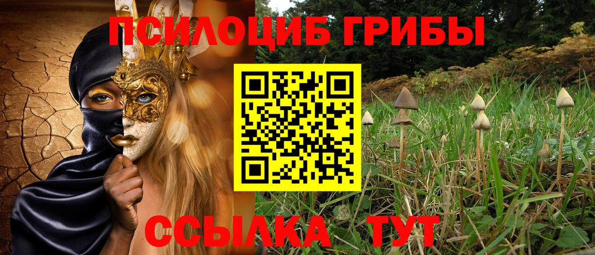 Псилоцибиновые грибы Magic Shrooms  Вход с VPN  Псилоцибиновые грибы MAGIC MUSHROOMS  что такое наркотик  Энгельс 